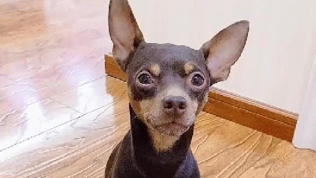 惹一次祸变一次乖