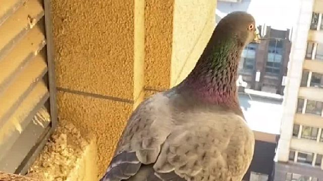 你体会过努力付之东流的感觉吗？看到最后我石化了…