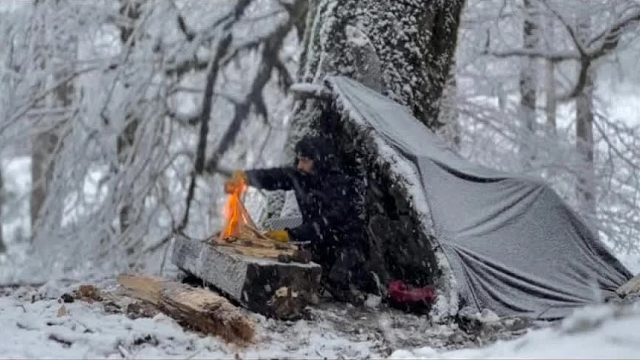 小伙野外露营遭遇暴风雪突袭，利用大树搭建避难所，全靠火堆续命