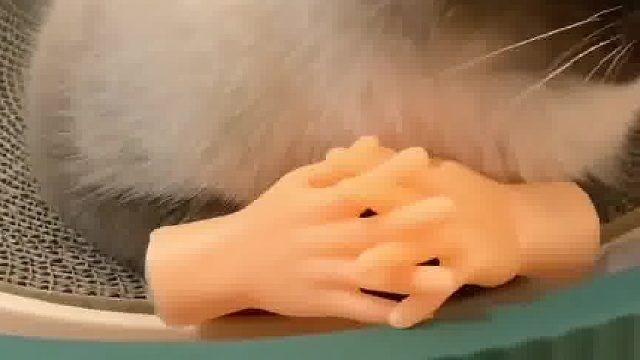 无精打采了一天，装上手精气神就上来了