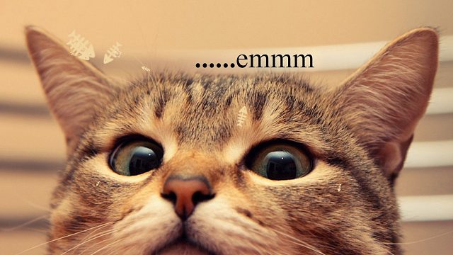 。。。见鬼了。。。