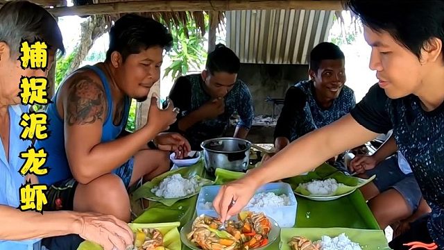 户外赶海：渔民在红树林中捕捉菲律宾的极品海货泥龙虾！