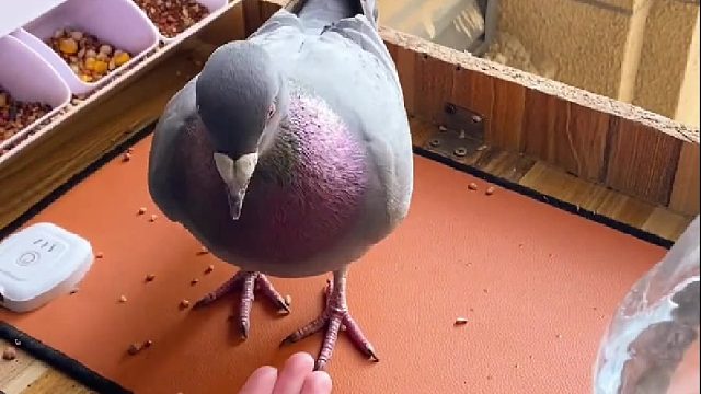 我最担心的事情好像还是发生了…