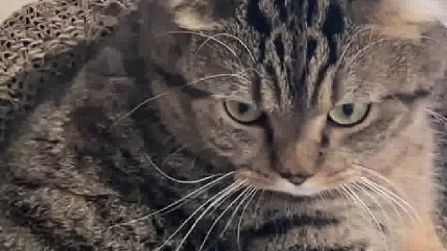 这应该不叫翻身，得叫蠕动了