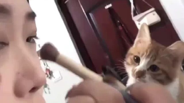猫咪：好好的，怎么突然就不认识了呢！