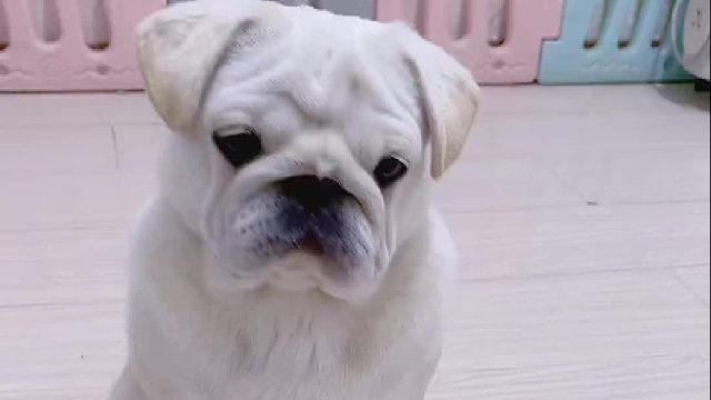 确实有那么点假！