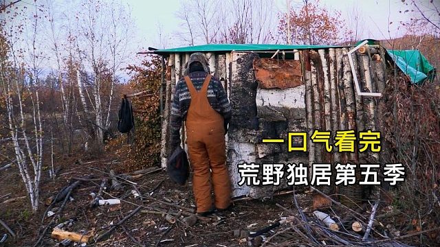 一口气看完荒野独居第五季，连竿九条野鲫鱼、狩猎肥美松鸡