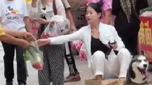 女子驯服哈士奇，自制“狗车”上街购物，没有售价，一狗干到拉萨”