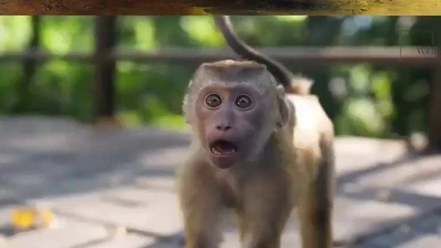 3大人造怪物，为了满足人类一己私欲，它们付出了可怕代价3