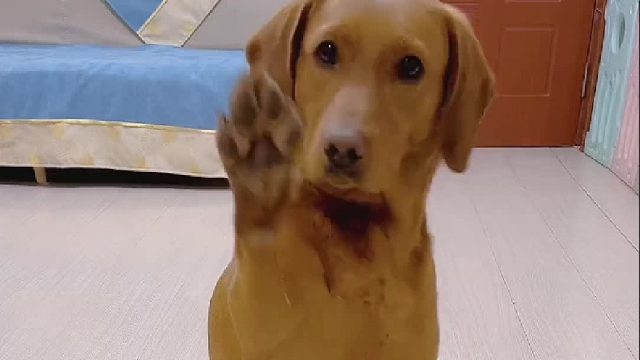 工资多少合适？你们说