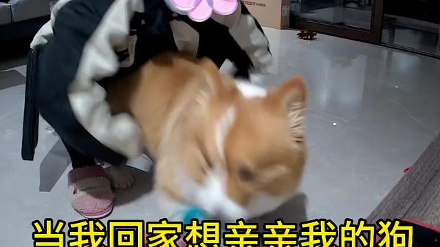 大型弑姐现场！(我还是相信公子哥还是爱姐姐的，只是不好意思表达出来)