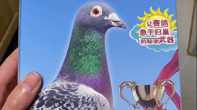 爱它就要惯着它，让其他人都受不了它，别人就不会抢了…