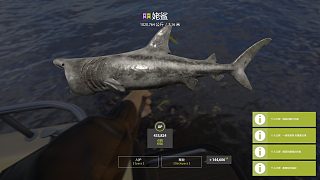 80坑左邊 45m 1020k牢大?后半小時(shí)起魚-主餌