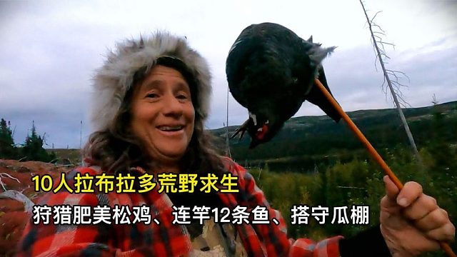 10人拉布拉多荒野求生，狩猎肥美松鸡、连竿12条鱼、搭建守瓜棚