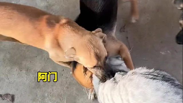 他们好忙，但不知道在忙什么