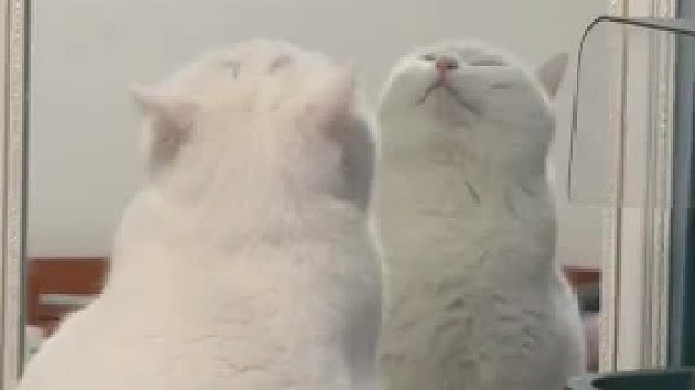 观察探索，勇敢猜想，小心验证