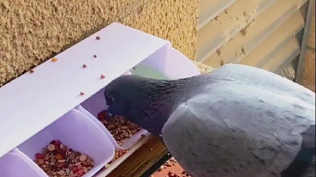 阿刁是不可能有问题的，就算有，那也是我的问题…