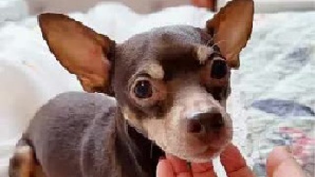 幸福就是这么简单