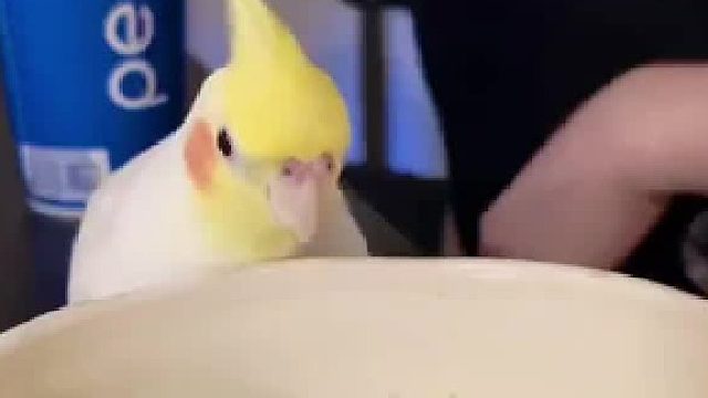 你的逆子我的逆子全部都一样