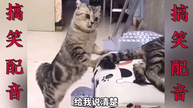 搞笑配音：一个比一个搞笑 这简直就是翻译啊