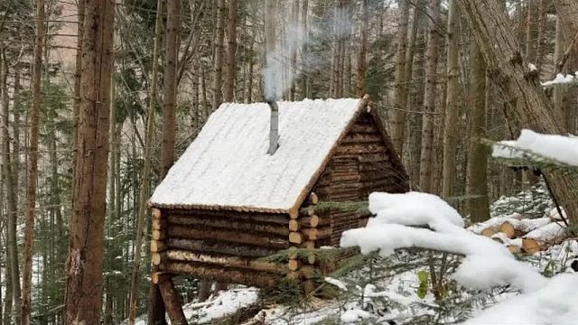荒野建造界的神级少年，7天打造完美木屋，凶猛野兽也无法破坏