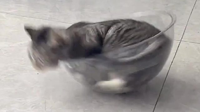 这转的把我都看晕了，幸好是四驱，两驱早翻了……