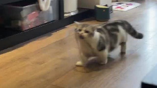 真不是我先动手的