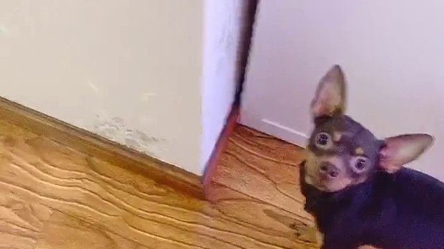 好朋友互相帮助