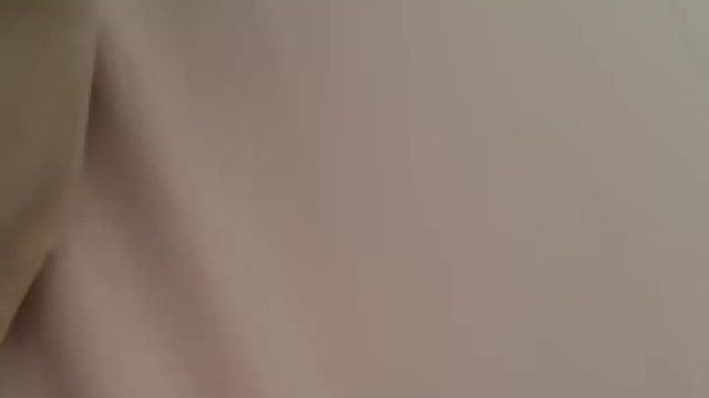 早上不想起床千万不要和猫对视