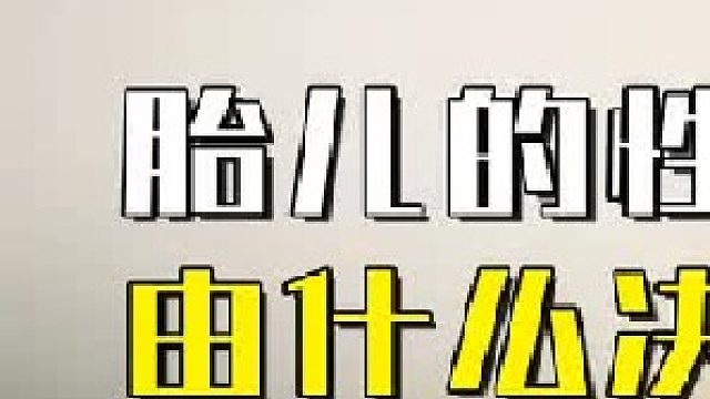 胎儿的性别由爸爸决定，还是由妈妈决定？转胎丸真的有用吗1