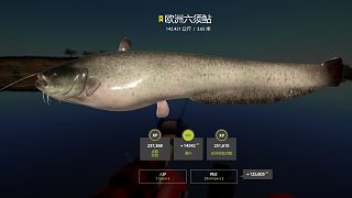 大魚喜歡欺負弱裝備