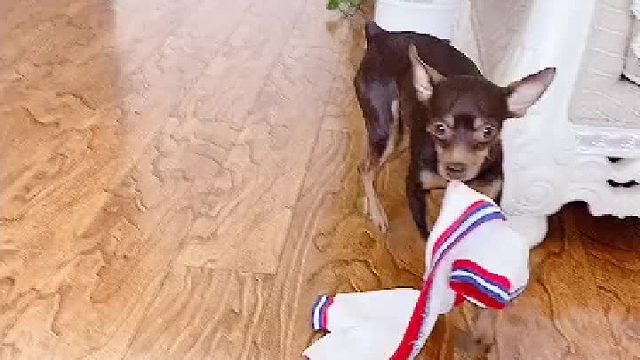 在这家里谁也得罪不起 太难了（接上一视频）