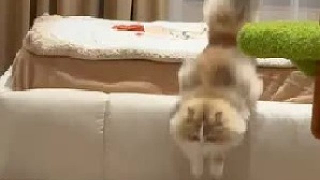 见喜欢的人当然是用飞的呀！！