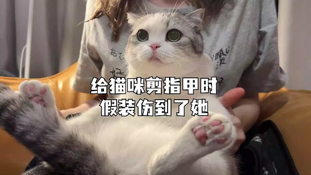 我的演技怎么样
