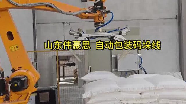 沈阳自动包装码垛线 融雪剂智能包装码垛机