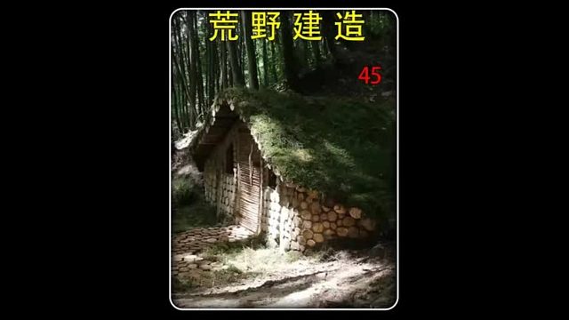 第45集 荒野建造：依靠半山坡搭建而成的庇护所，不仅保暖，更能延长使用寿命