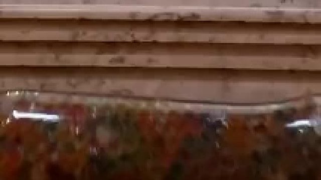 可见此人有打扫卫生的癖好啊