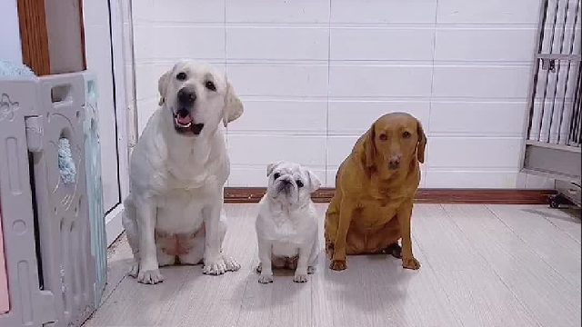 你喊几又有什么关系呢？