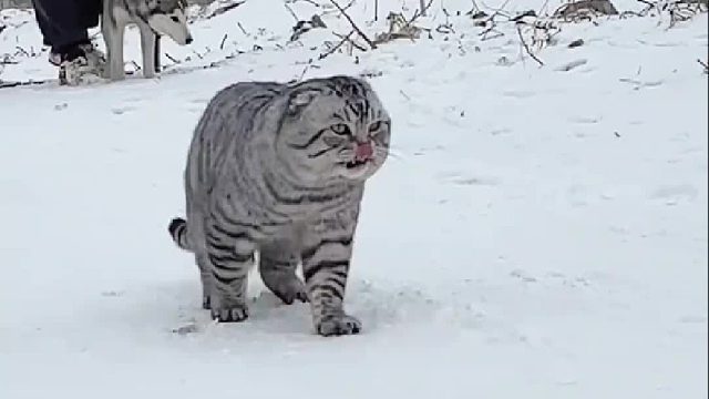 讲屁话没有用 让别人也…