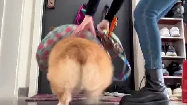 出门前精神状态：一个太疯癫，一个太崩溃