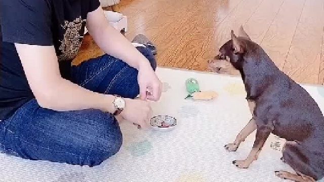 为了不得罪人狗子急中生智哈哈哈哈。。。。。