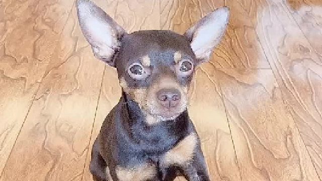 肢体的语言，智慧的力量。