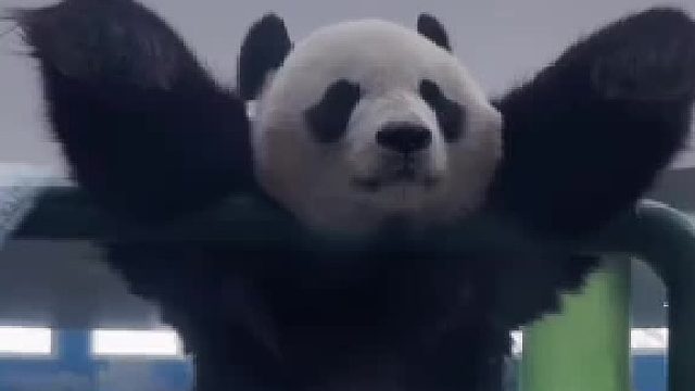 喜乐：准备起飞