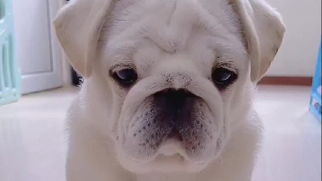 体验了一回啥叫“丢了夫人又折兵”。。。