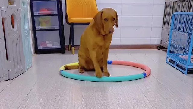 这背着我干了多少不为人知的事啊？