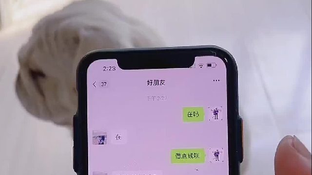 这回彻底暴露了！