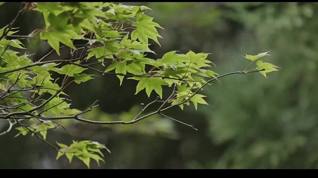 《人像摄影的秘密》尬演小剧场系列