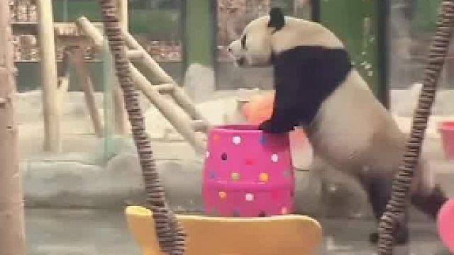 请问灵岩在哪趟列车上服务，我想买票