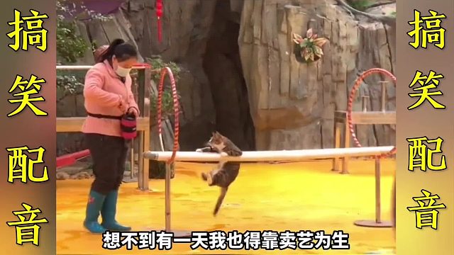 搞笑配音：一个比一个搞笑 这简直就是翻译啊