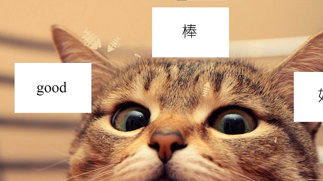 没有人比我更懂识破（狗头）！